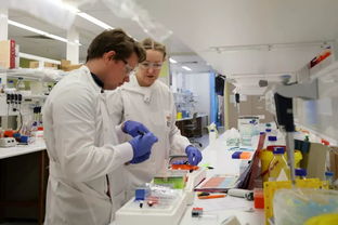 澳洲名校之路 醫學研究與試驗發展的重要性與路徑