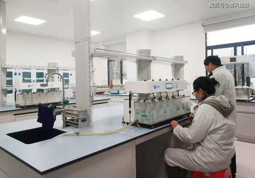 喜訊！真奧研究院新鮮螺旋藻功能性食品成功中試，引領(lǐng)醫(yī)學(xué)研究與試驗(yàn)發(fā)展新方向